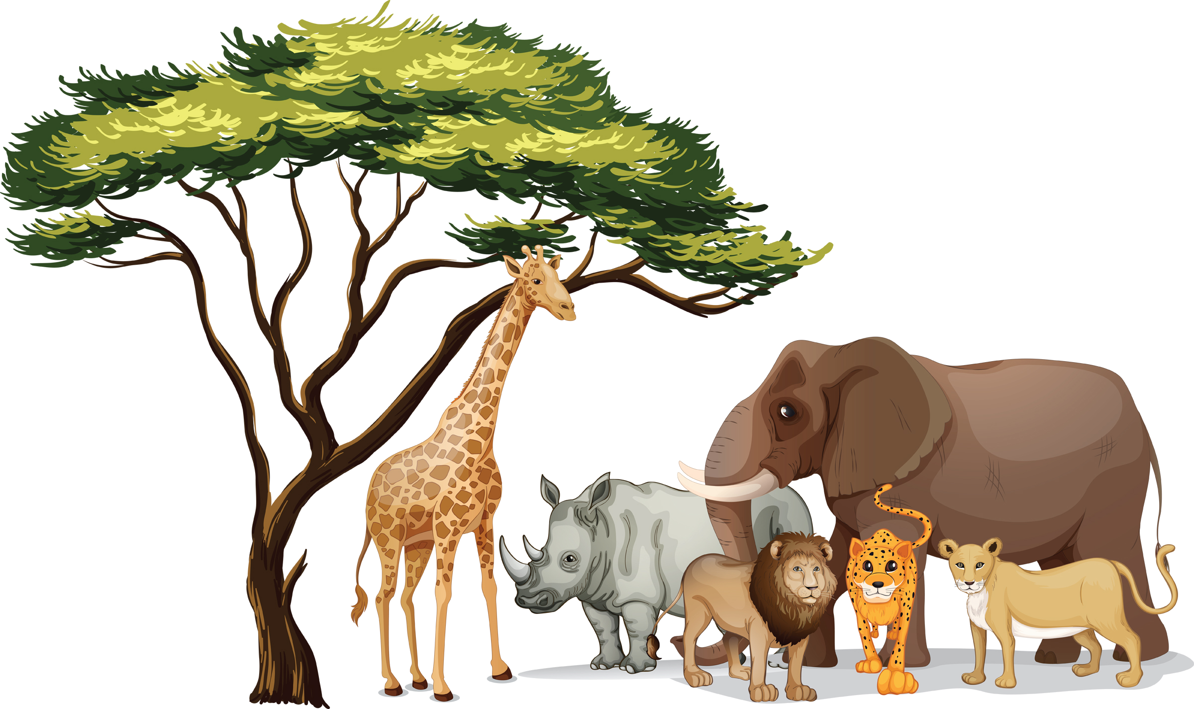 非洲叢林動物群聚 壁紙 — 一幅充滿活力的卡通插圖，描繪了六種非洲動物，包括長頸鹿、大象、犀牛、獅子、豹子和母獅，聚集在一棵枝葉茂盛的金合歡樹下。