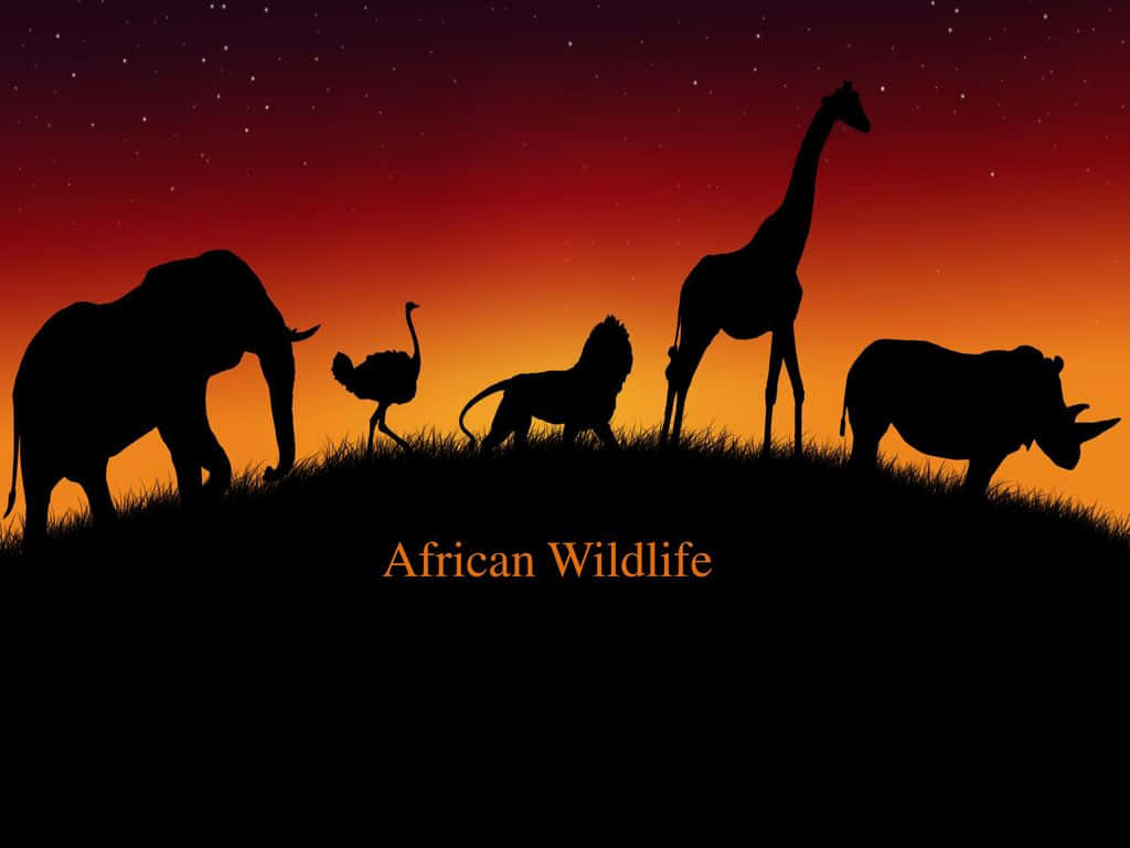 African Wildlife 桌布 壁紙 — 非洲野生動物的剪影，包括大象、鴕鳥、獅子、長頸鹿和犀牛，站在長滿草的山丘上，背景是充滿活力的橙色和紫色暮色天空，點綴著星星。