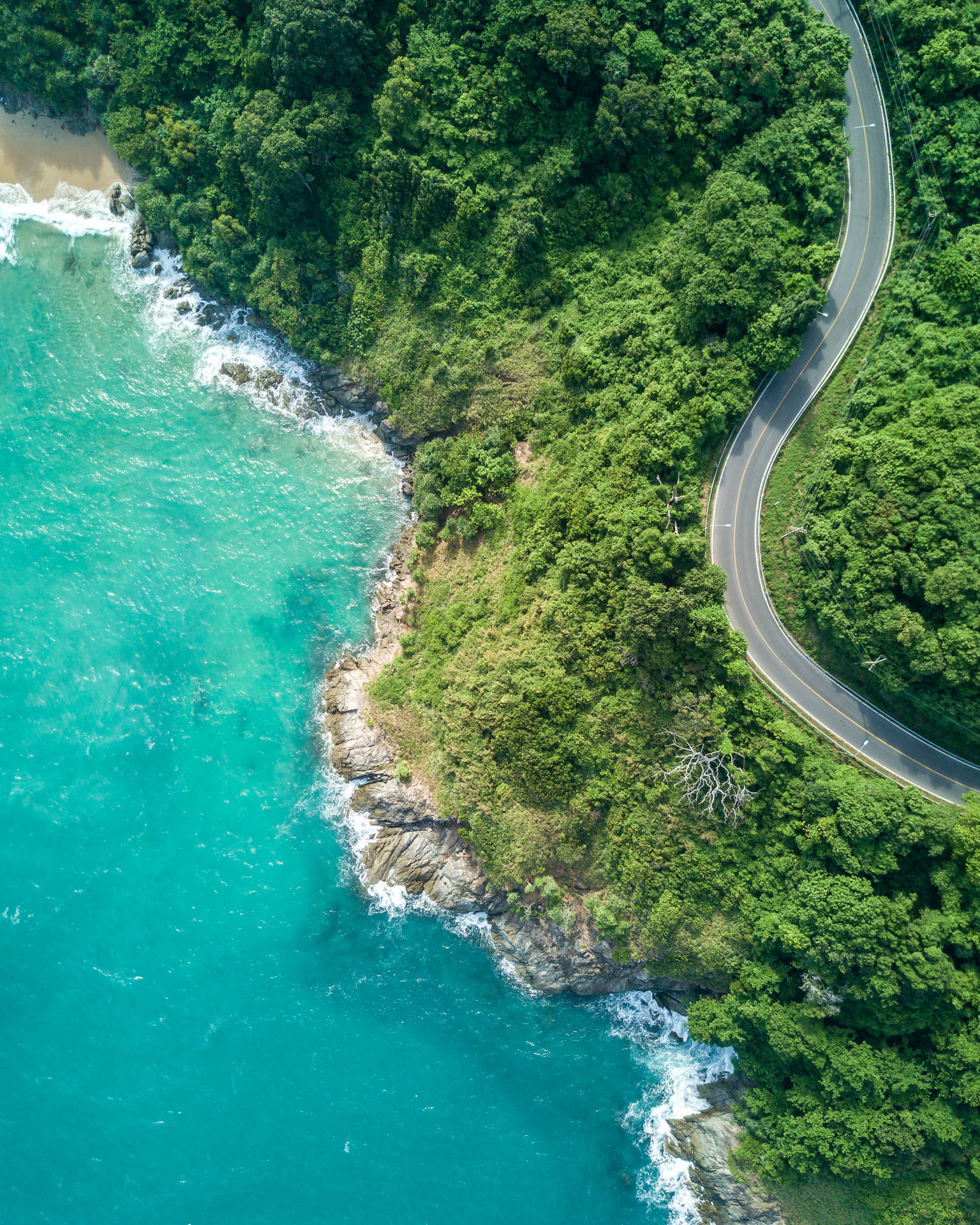 蜿蜒的道路沿著綠色懸崖，旁邊是碧綠色的海浪。
