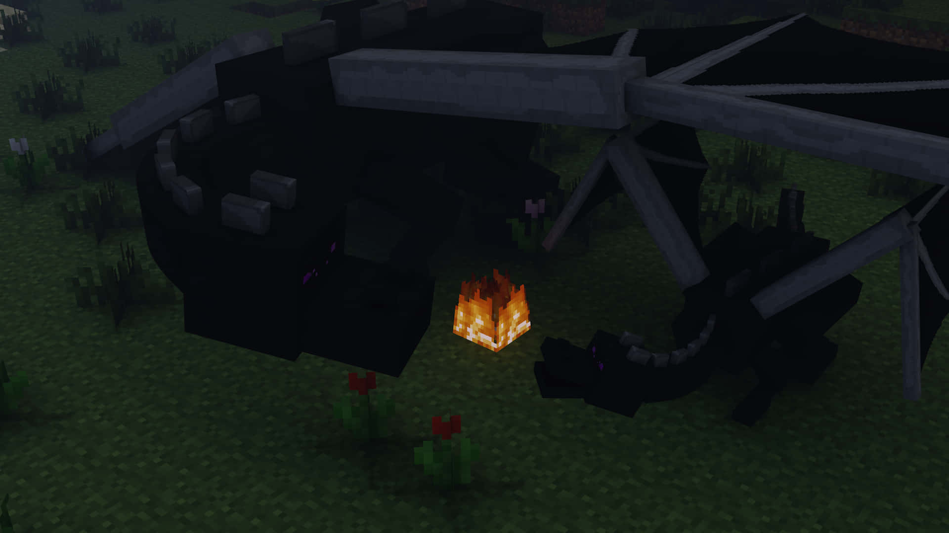 一隻黑色像素龍，帶有發光的眼睛，在夜晚坐在一個草地Minecraft場地的營火旁。