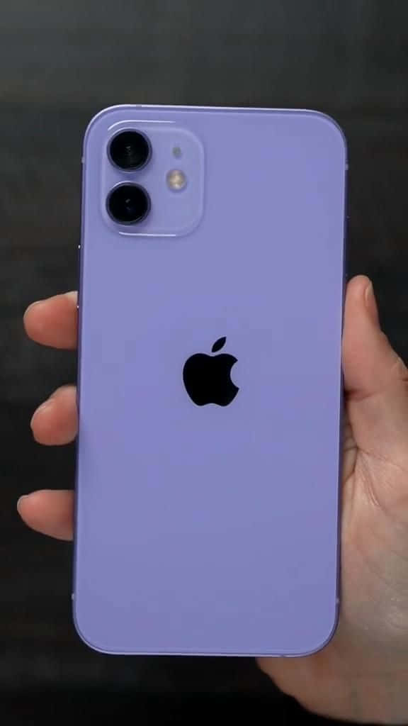 革命性的 iPhone 12 壁紙 — 一隻手在深色背景前拿著薰衣草色 iPhone 12 mini，展示其雙鏡頭系統和 Apple 標誌。