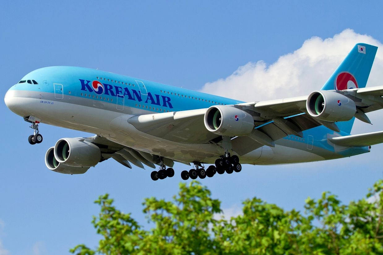 大韓航空空中巴士A380飛機在樹木上方降落