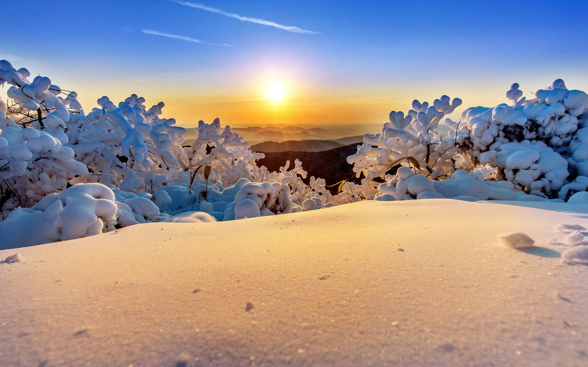 韓國德積山公園冬季風景 壁紙 — 夕陽溫暖地照耀著被雪覆蓋的樹枝和一片純淨的雪山坡，天空清澈湛藍。