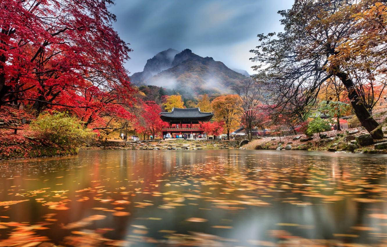 韓國湖光山色 壁紙 — 一座傳統韓國亭閣坐落於平靜的池塘旁，周圍是火紅和金黃色的秋樹，背景是霧氣繚繞的山巒。
