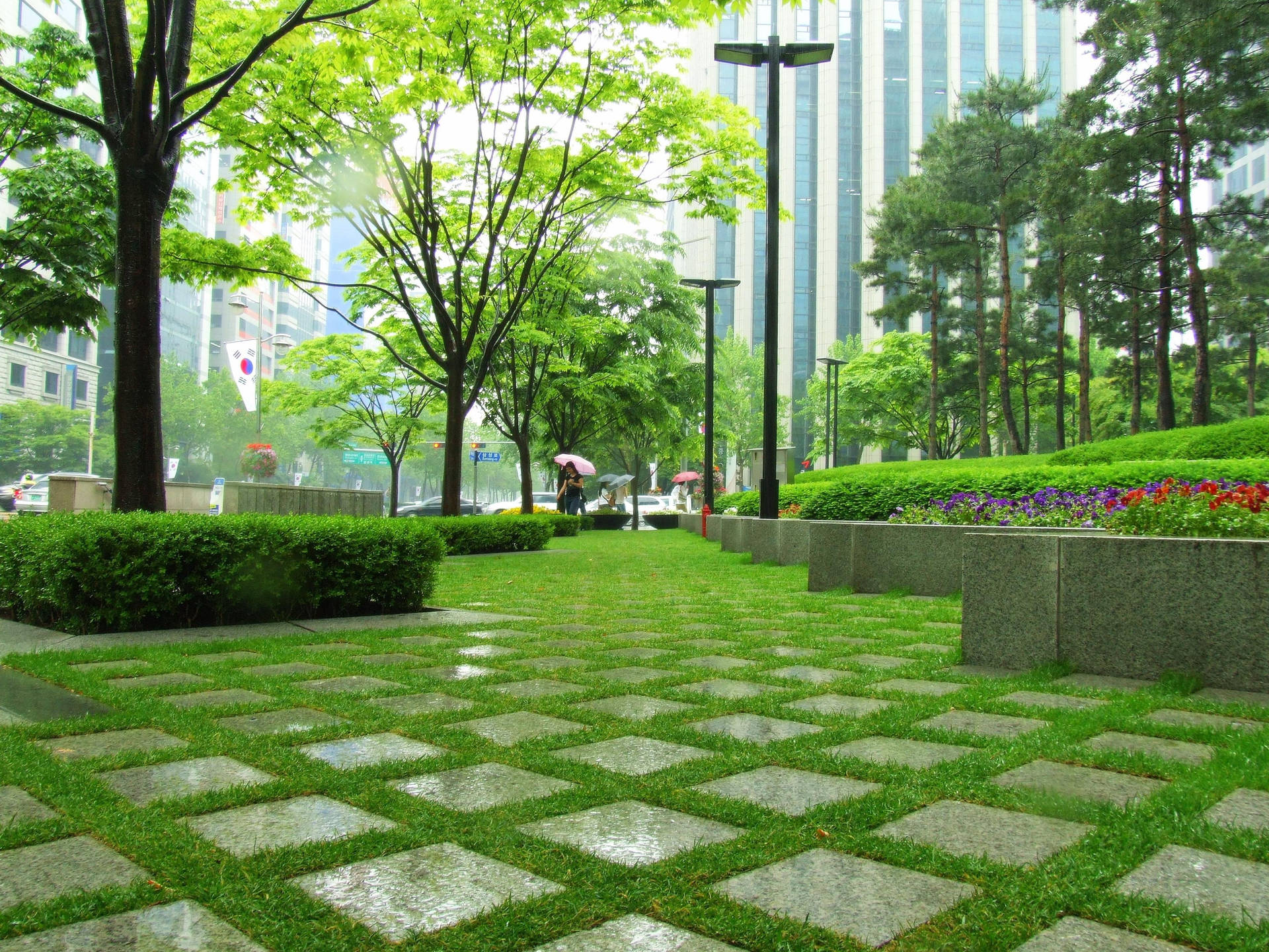 韓國綠色公園 壁紙 — 一個被雨水浸濕的城市公園，有棋盤格石徑、茂密的綠樹，以及人們撐著雨傘在現代摩天大樓附近行走。