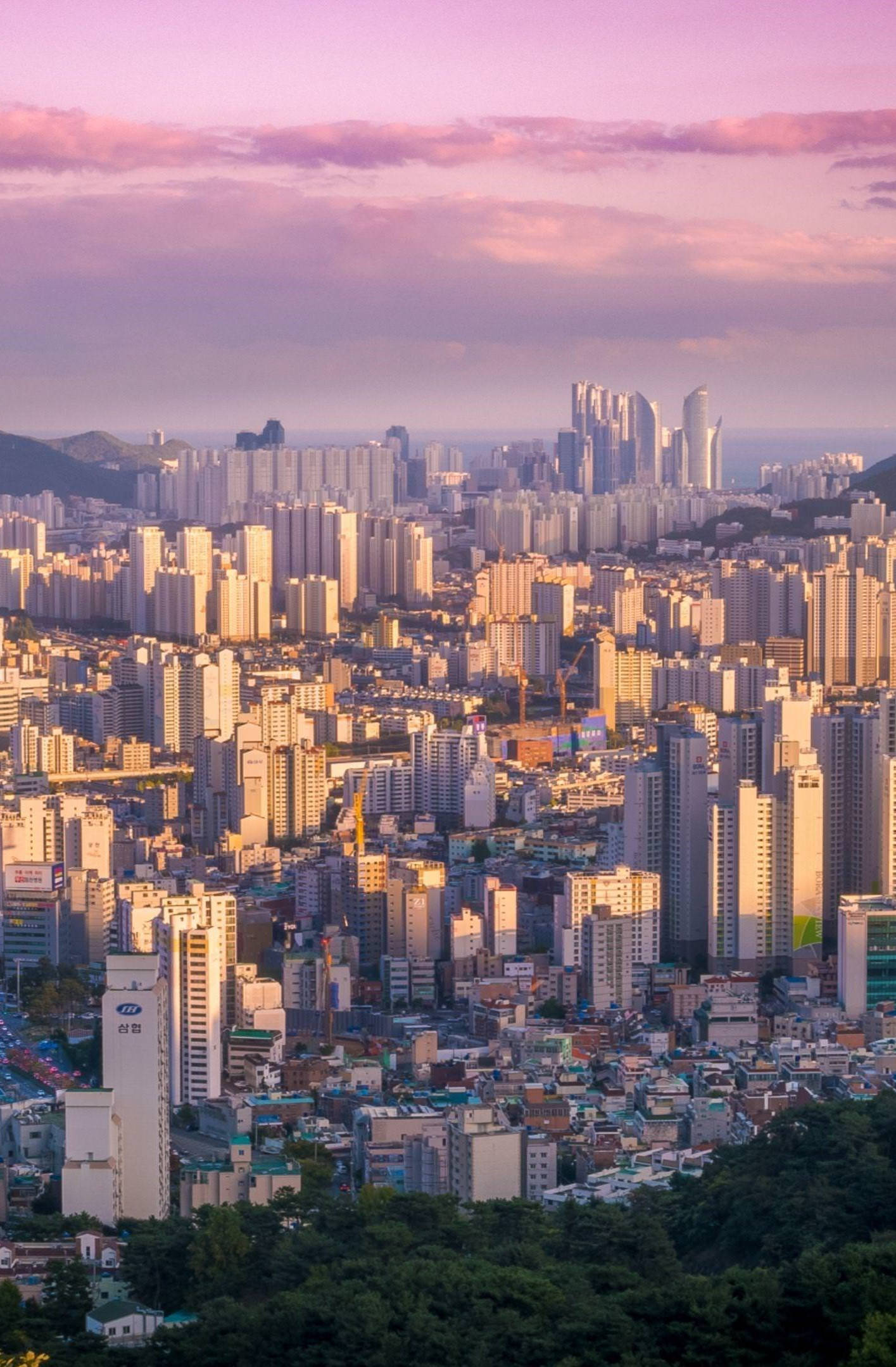 韓國釜山時尚風景 壁紙 — 日落時分廣闊的城市景觀，粉紅色的雲朵籠罩著密集的高層建築，前景是綠色的山丘。