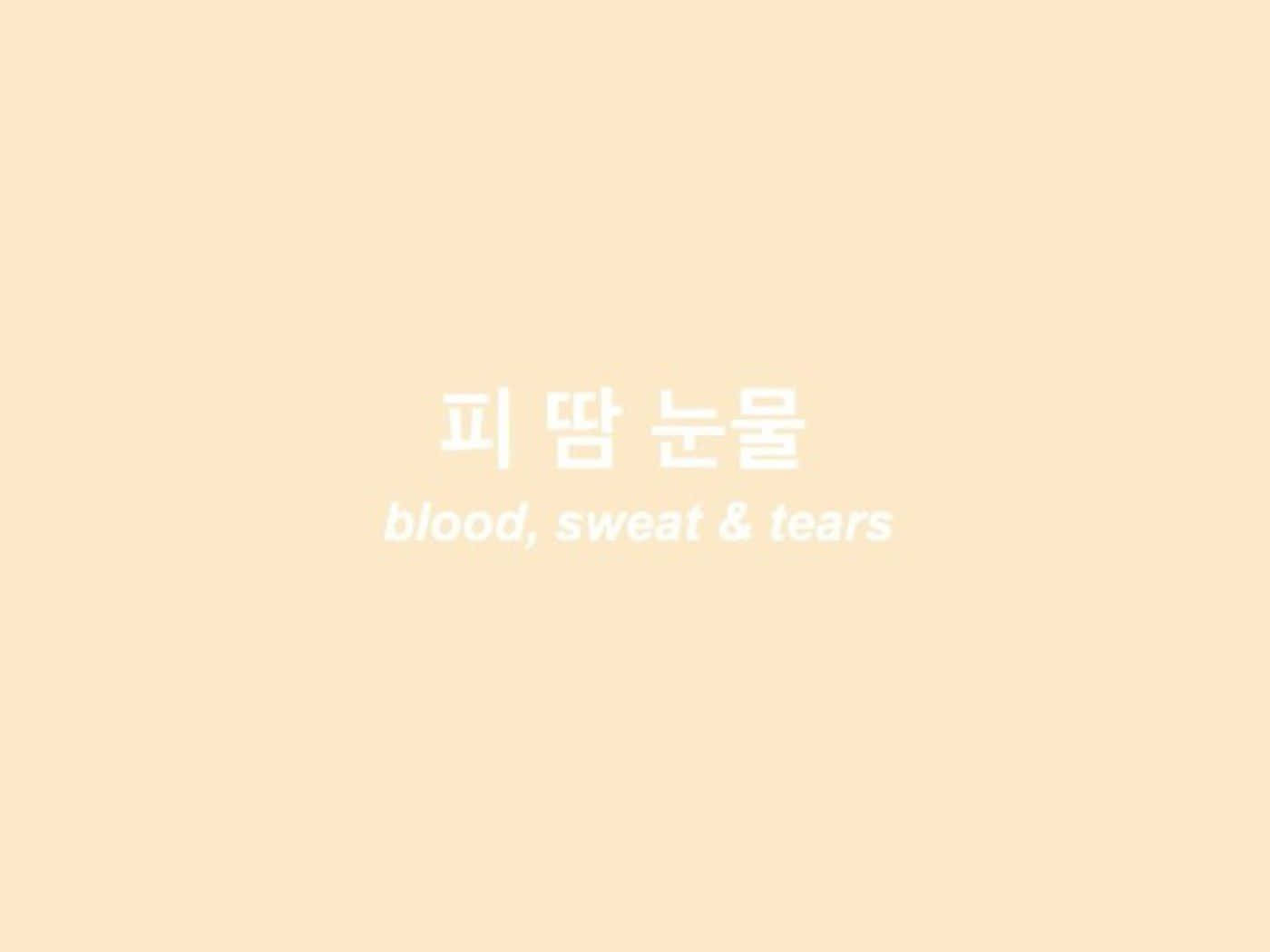 蜜桃色背景，韓文和英文文字「blood sweat & tears」