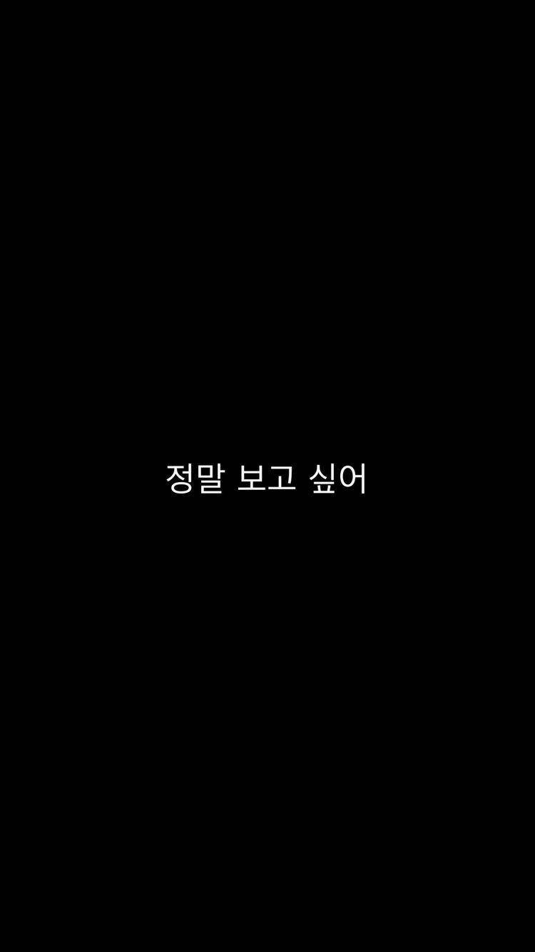 韓文「想你」 壁紙 — 簡約黑色背景，中央白色韓文文字寫著「정말 보고 싶어」，傳達思念之情。