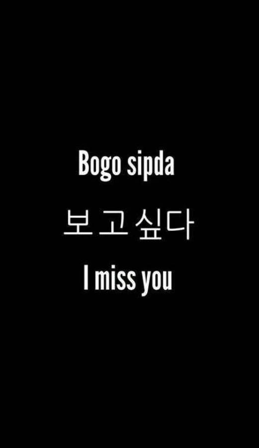 韓文「我好想你」 壁紙 — 極簡黑色背景，白色文字居中排版，顯示「Bogo sipda」「보고 싶다」和「I miss you」。