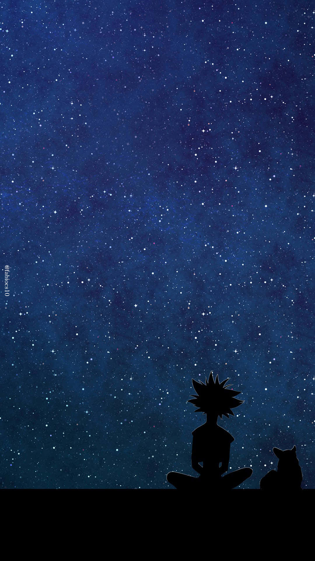 男孩和貓的剪影凝視著星空。