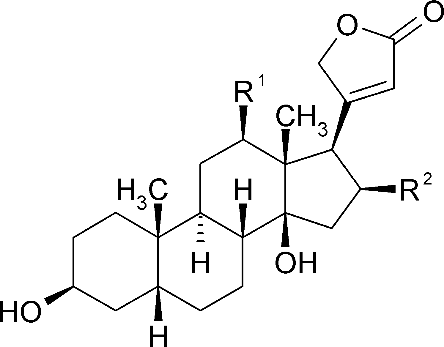 類固醇分子結構圖 壁紙 — 純黑色背景，沒有可見的元素或細節。
