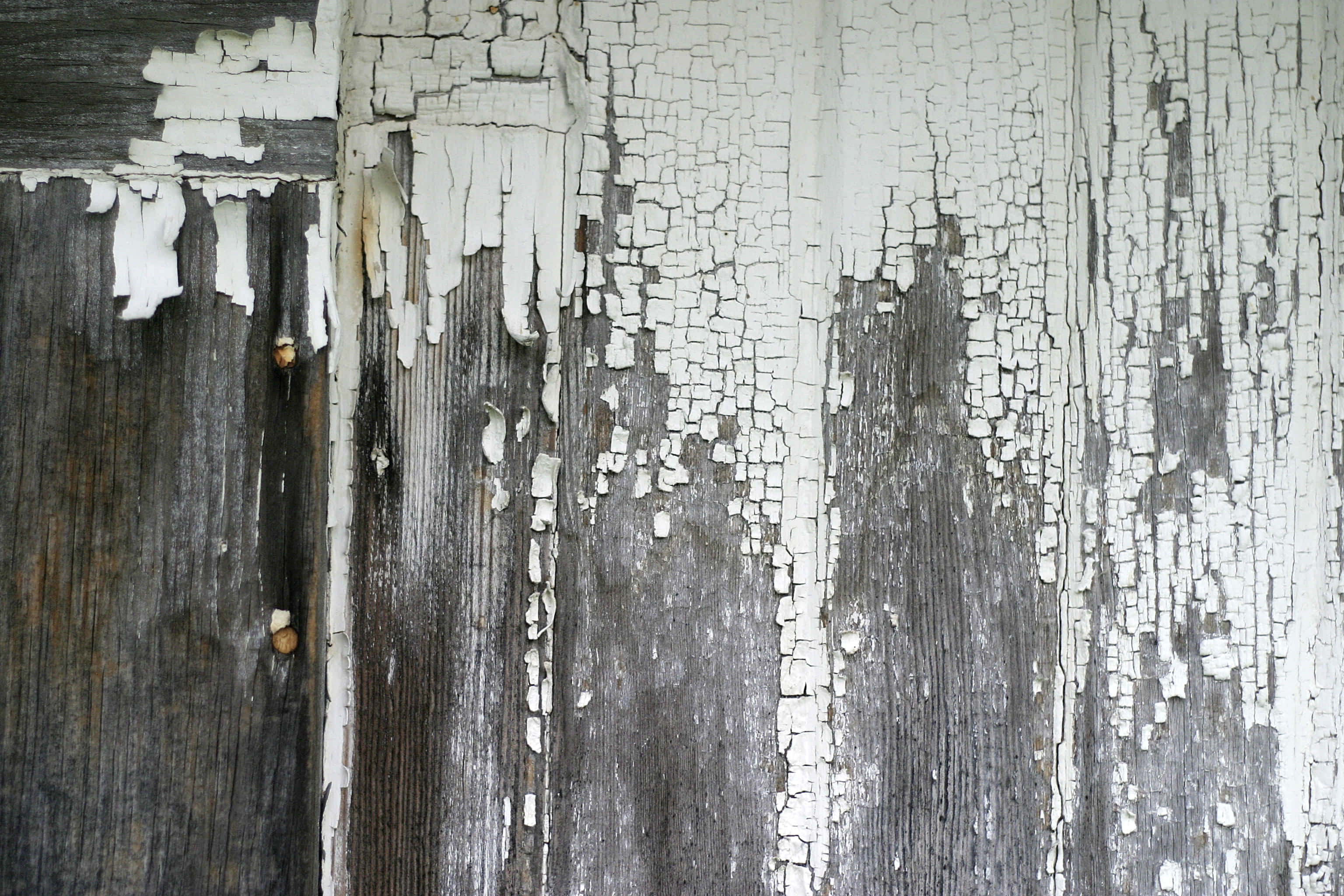 Paint Texture 桌布 壁紙 — 風化木板的特寫，白色油漆剝落，露出深色紋理和質感。