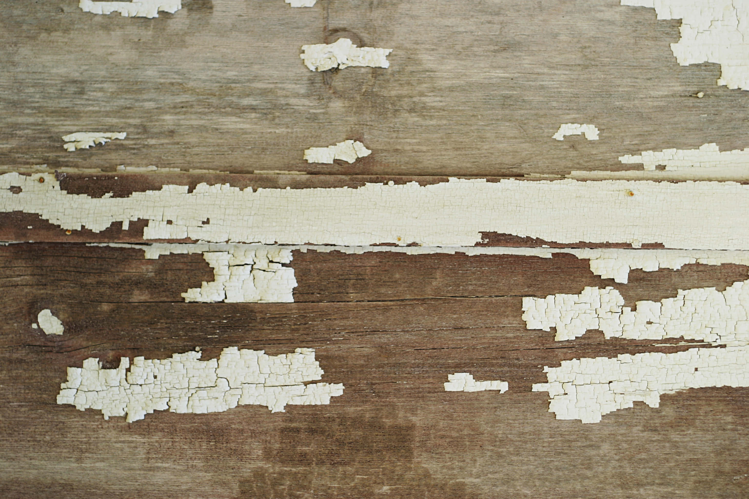 Paint Texture 桌布 壁紙 — 風化木板的特寫，裂開和剝落的白色油漆露出豐富的棕色木紋。