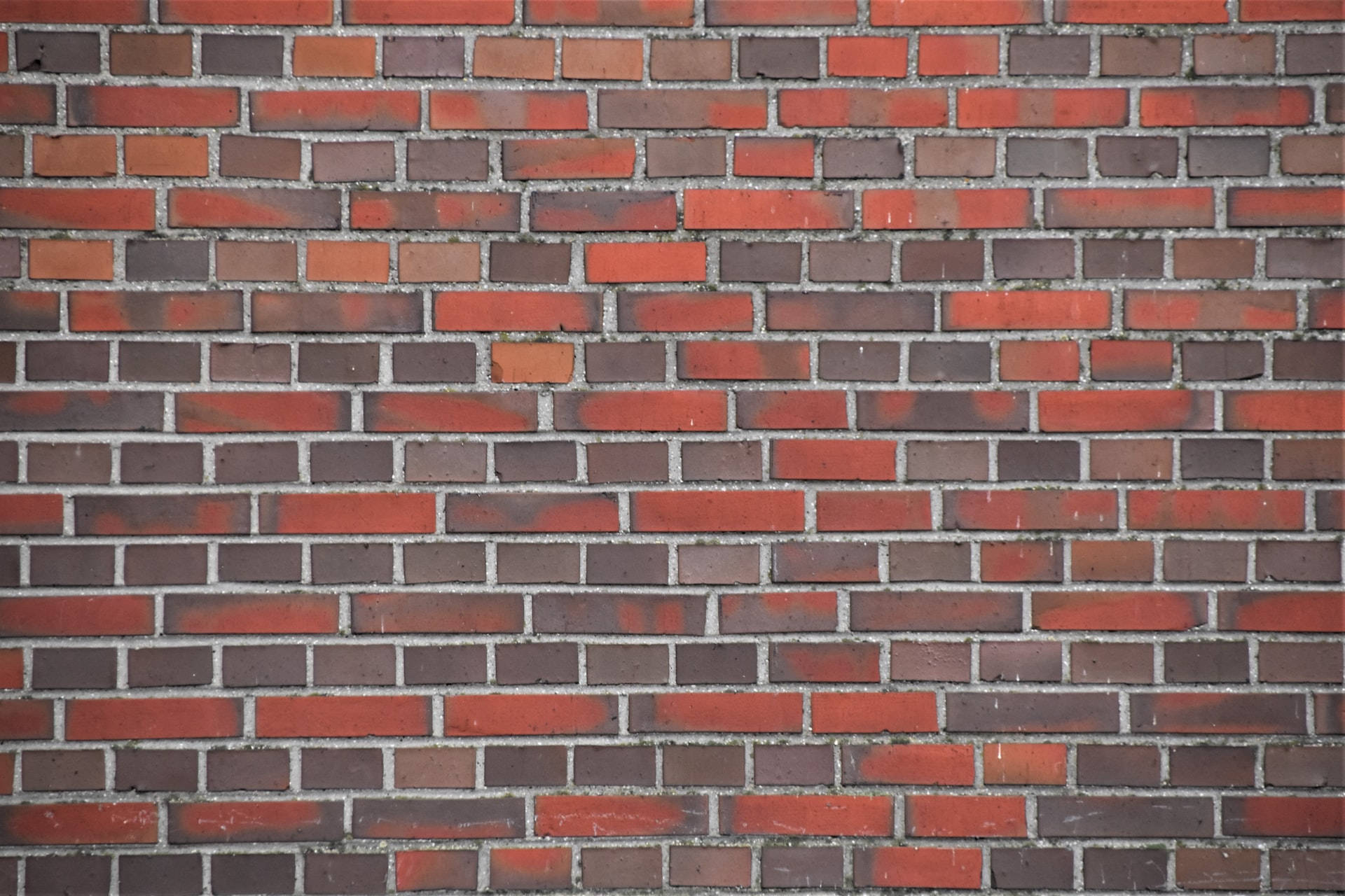 Red And Grey Brick Wall 壁紙 — 風化紅磚牆特寫，灰色砂漿線條顯示紋理和年代。