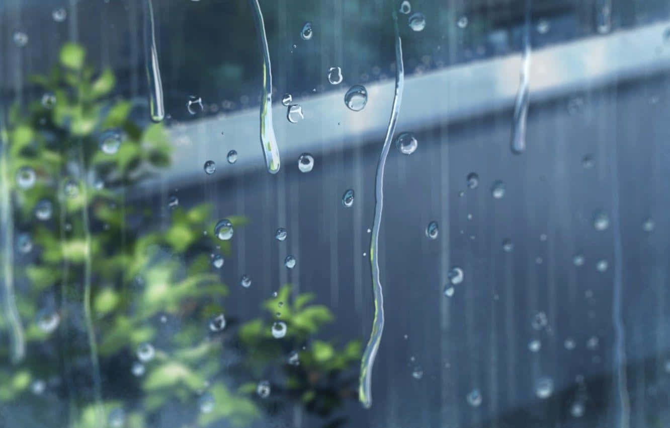 雨滴在玻璃窗上滑落，背後有柔焦的綠色植物。