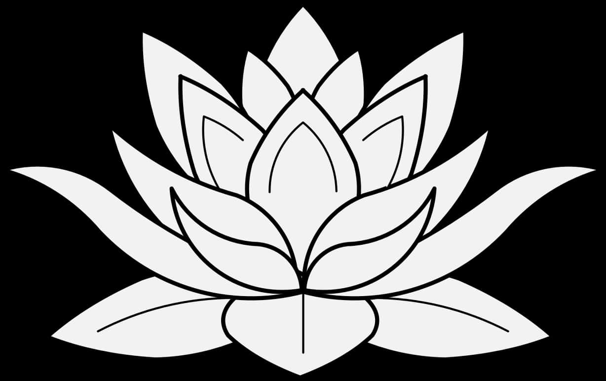 風格化蓮花圖形 壁紙 — 一朵極簡風格的白色蓮花，帶有粗黑線條，在純黑背景上綻放。
