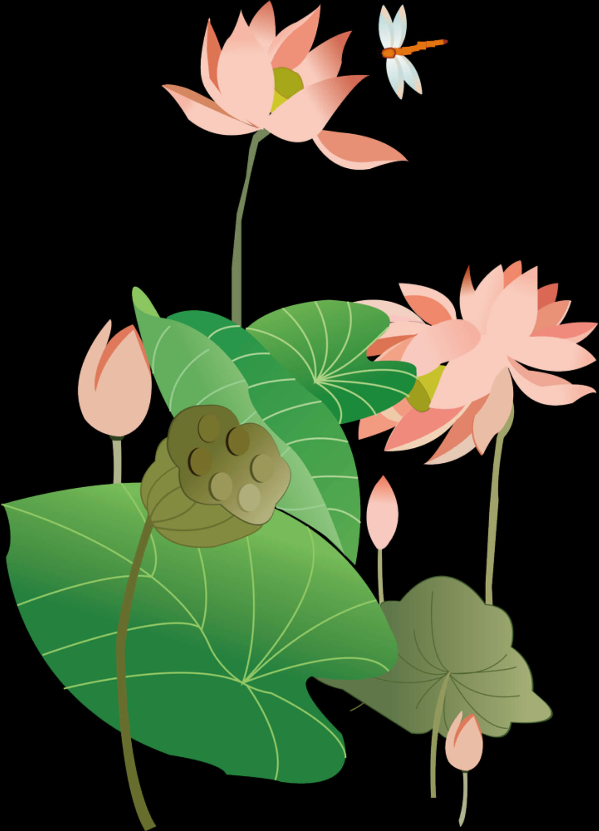 風格化蓮花與蜻蜓 壁紙 — 粉紅色的蓮花和綠葉在純黑色背景上漂浮，附近有一隻蜻蜓盤旋。