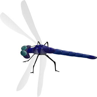 風格化蜻蜓插圖 壁紙