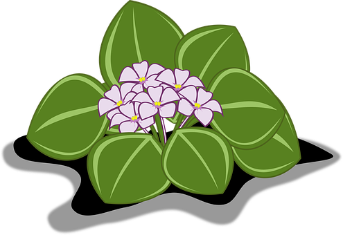 風格化長春花插畫 壁紙