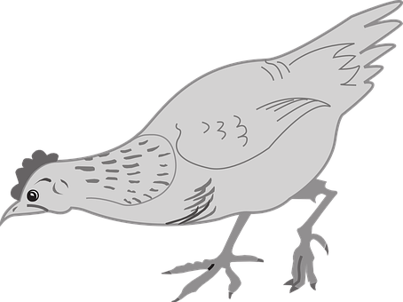 風格化雞插圖 壁紙