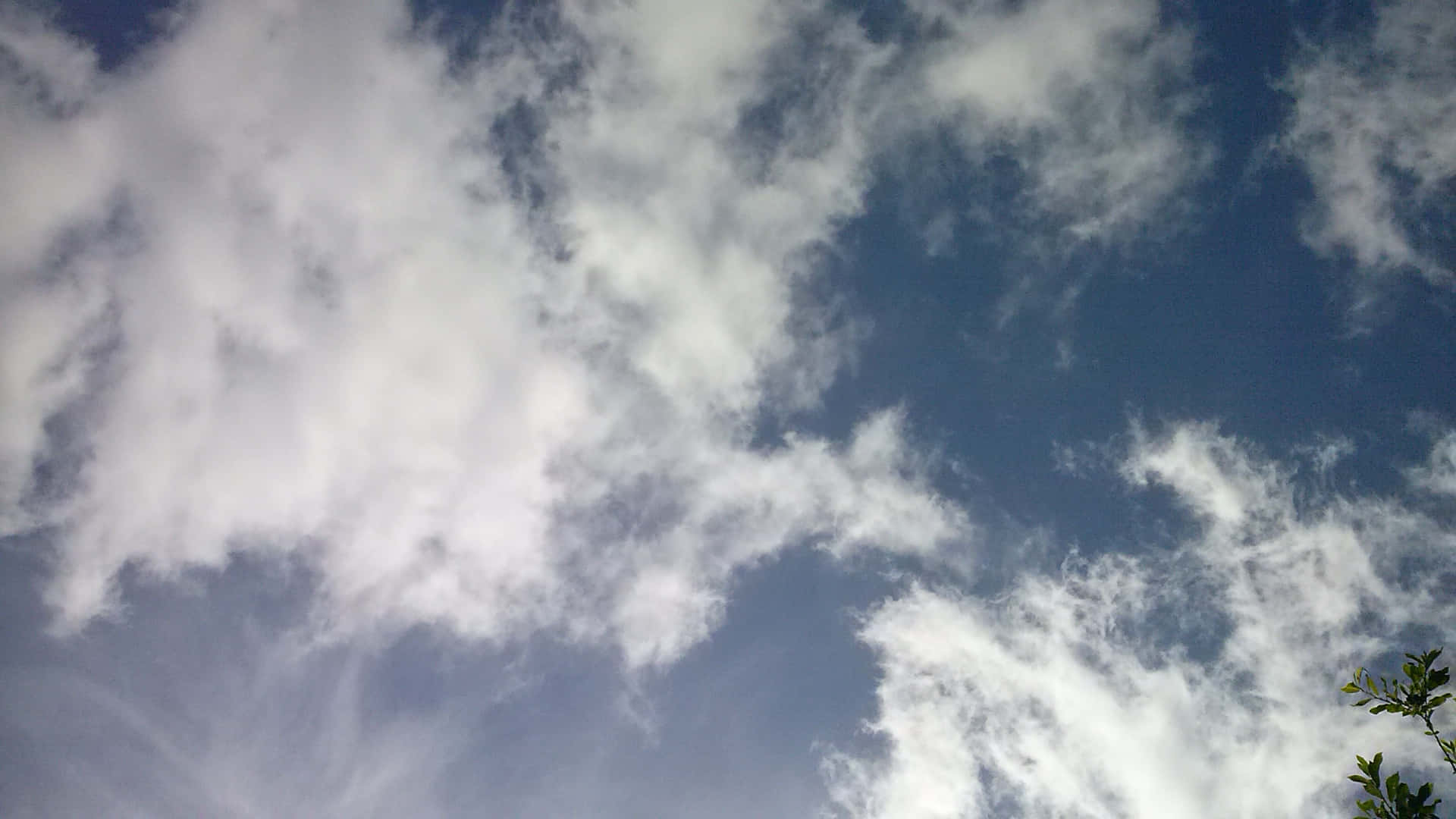 藍天白雲，右下角可見綠色樹枝