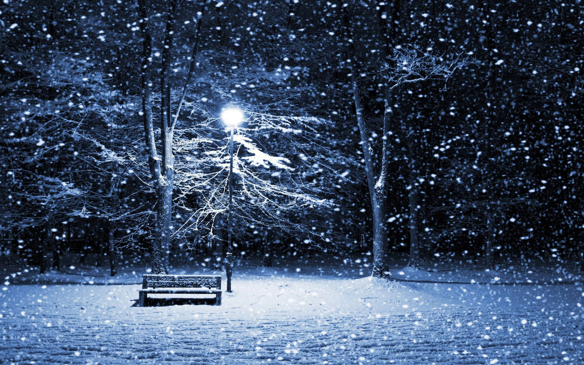 大雪紛飛，圍繞著冬夜公園中被街燈照亮的長椅。