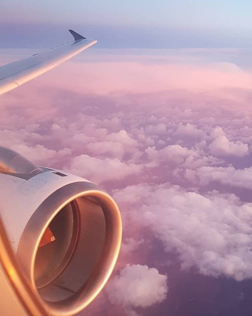 飛機 桌布 壁紙 — 飛機機翼和引擎在柔軟的雲層上方翱翔，沐浴在柔和的粉紅色和紫色日落色調中。