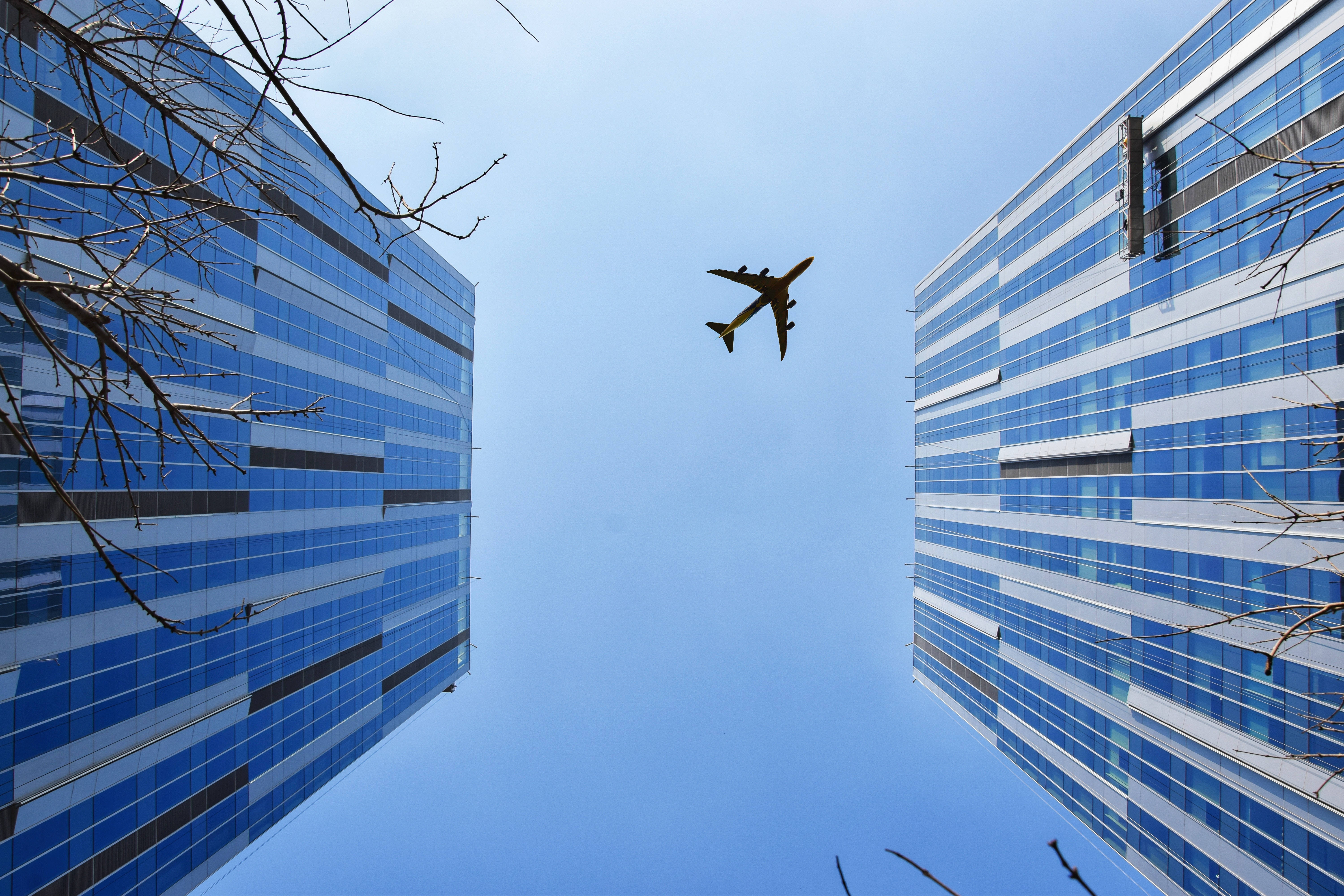 飛機穿過城市天際線 壁紙 — 一架商用客機在光禿禿的樹枝框住的清澈藍天下，翱翔於高聳的玻璃摩天大樓之間。