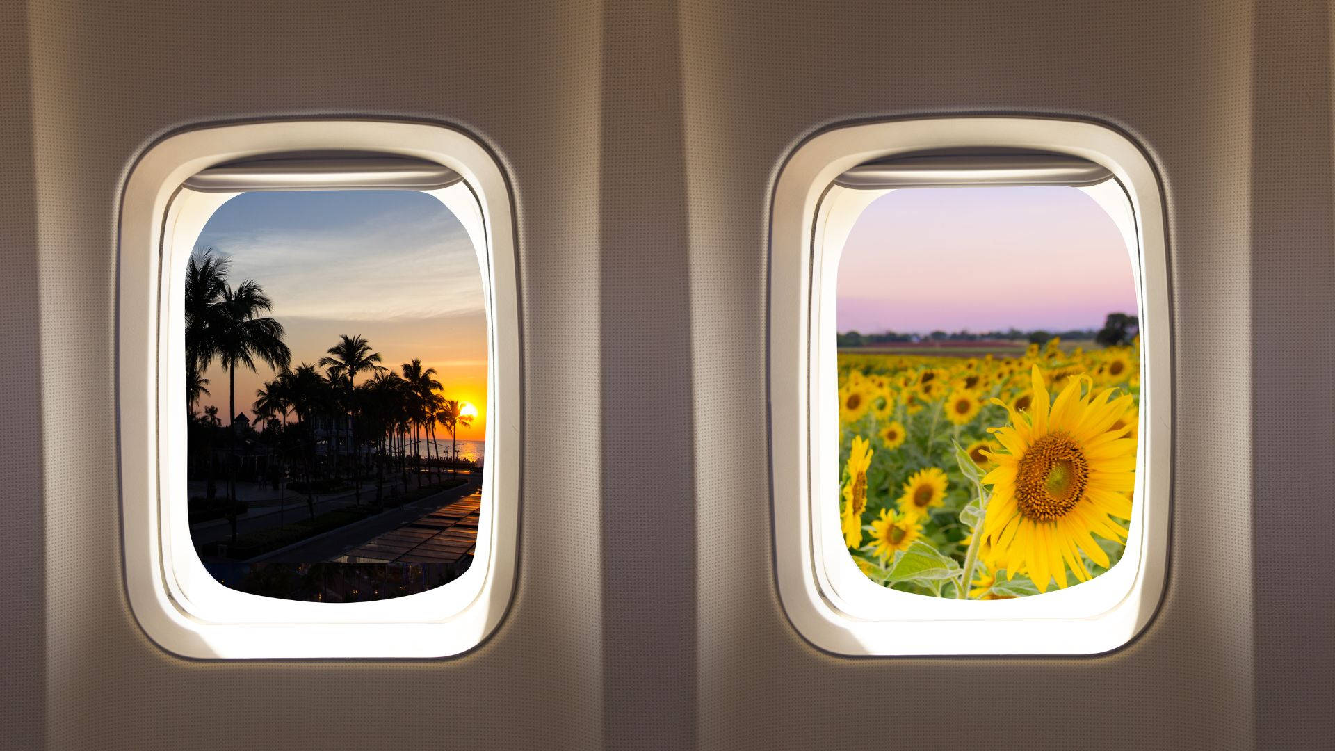 飛機窗戶旅行海灘向日葵 壁紙 — 兩個飛機窗戶展示對比景色：日落下的棕櫚樹和粉紅天空下充滿活力的向日葵田。