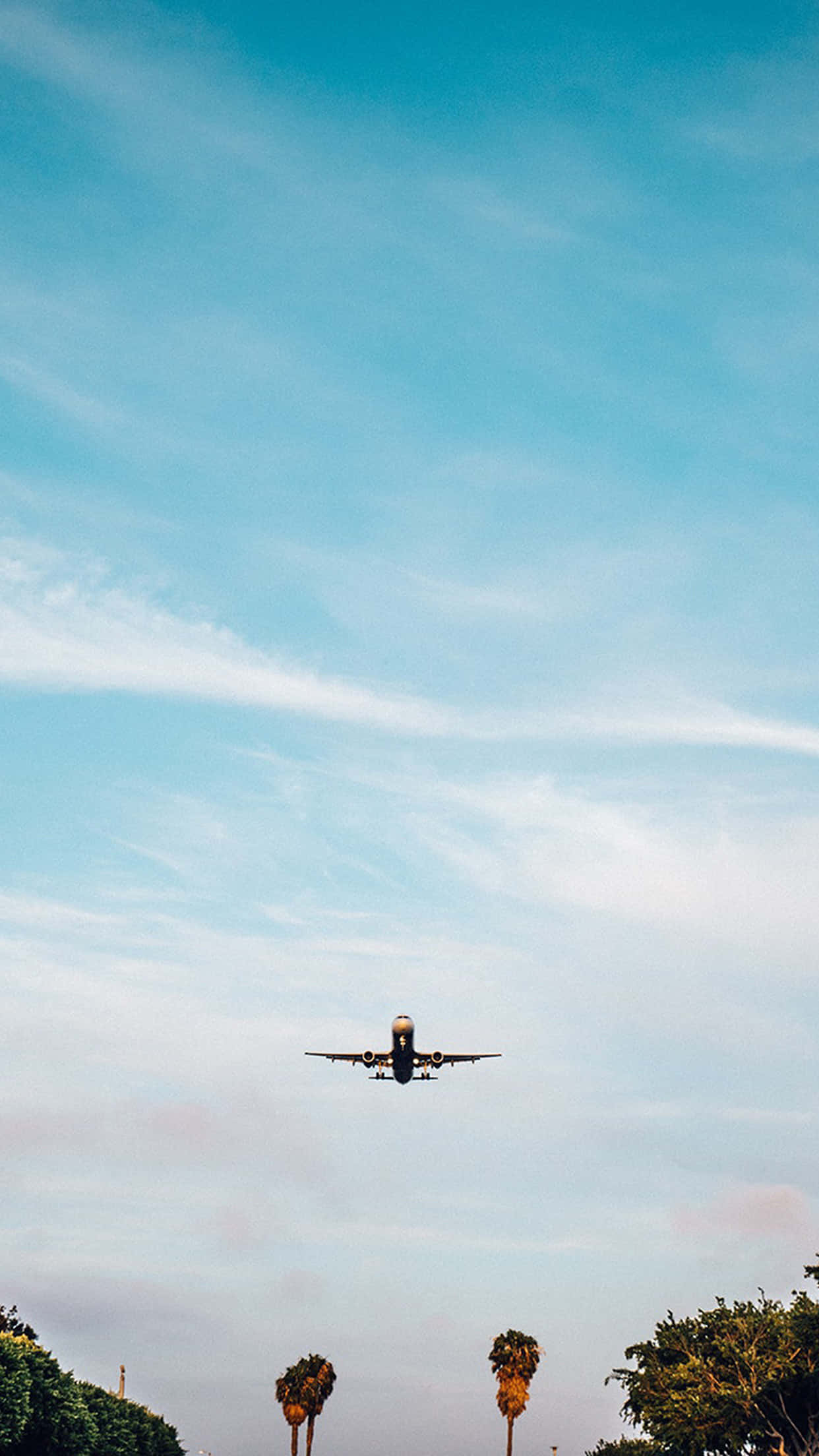 飛機翱翔於天空的美麗空中視角 壁紙 — 一架商用飛機在廣闊的藍天中下降，天空中有縷縷白雲，下方是棕櫚樹和綠色植物。