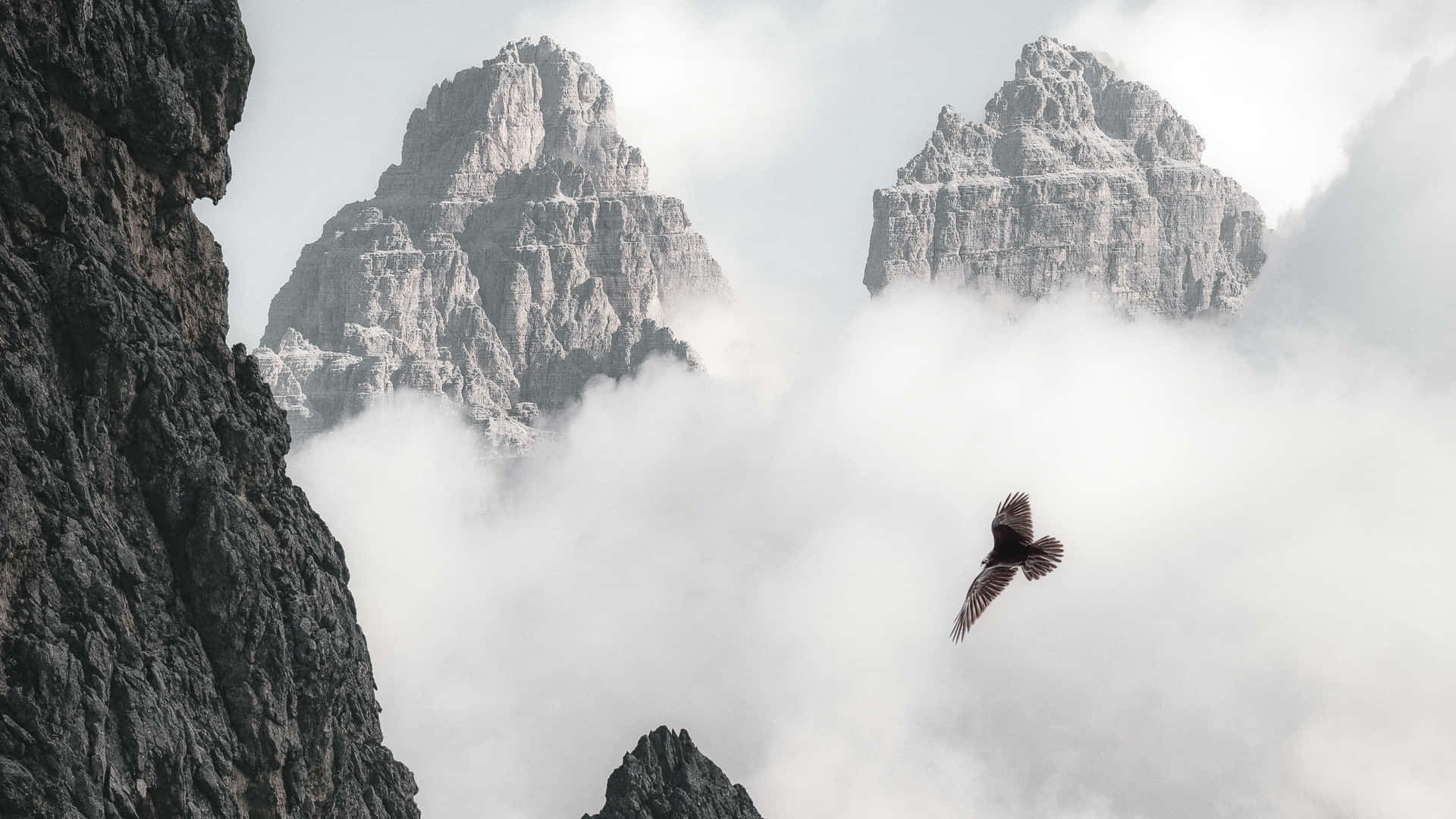 一隻鳥在山峰之間的雲中飛翔。