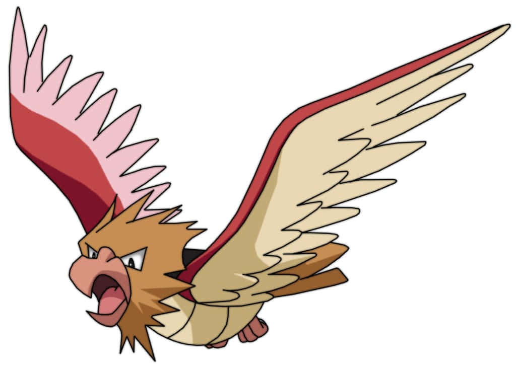 飛行寶可夢 Spearow 壁紙 — 一隻兇猛的卡通鳥，擁有紅色和米色的翅膀，在純白色背景上展開。