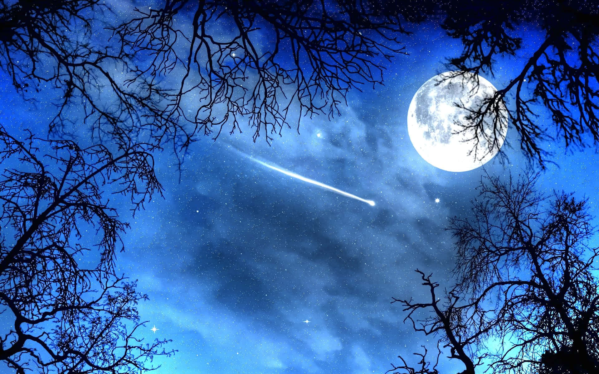 夜晚透過光禿的樹枝可見月亮和流星。