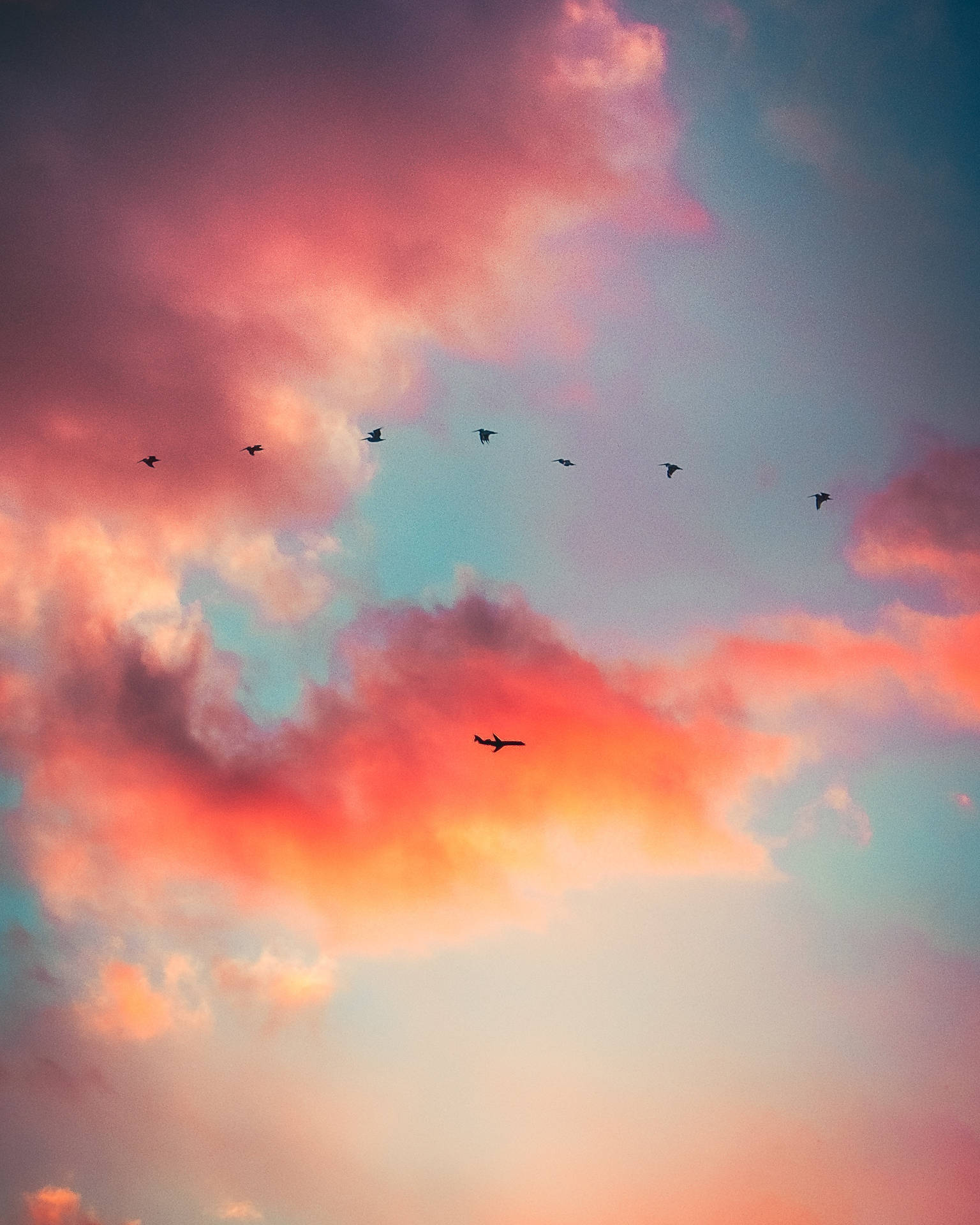 鳥群在色彩繽紛的日落天空中飛翔，背景有粉紅色、橙色和藍綠色的雲彩。