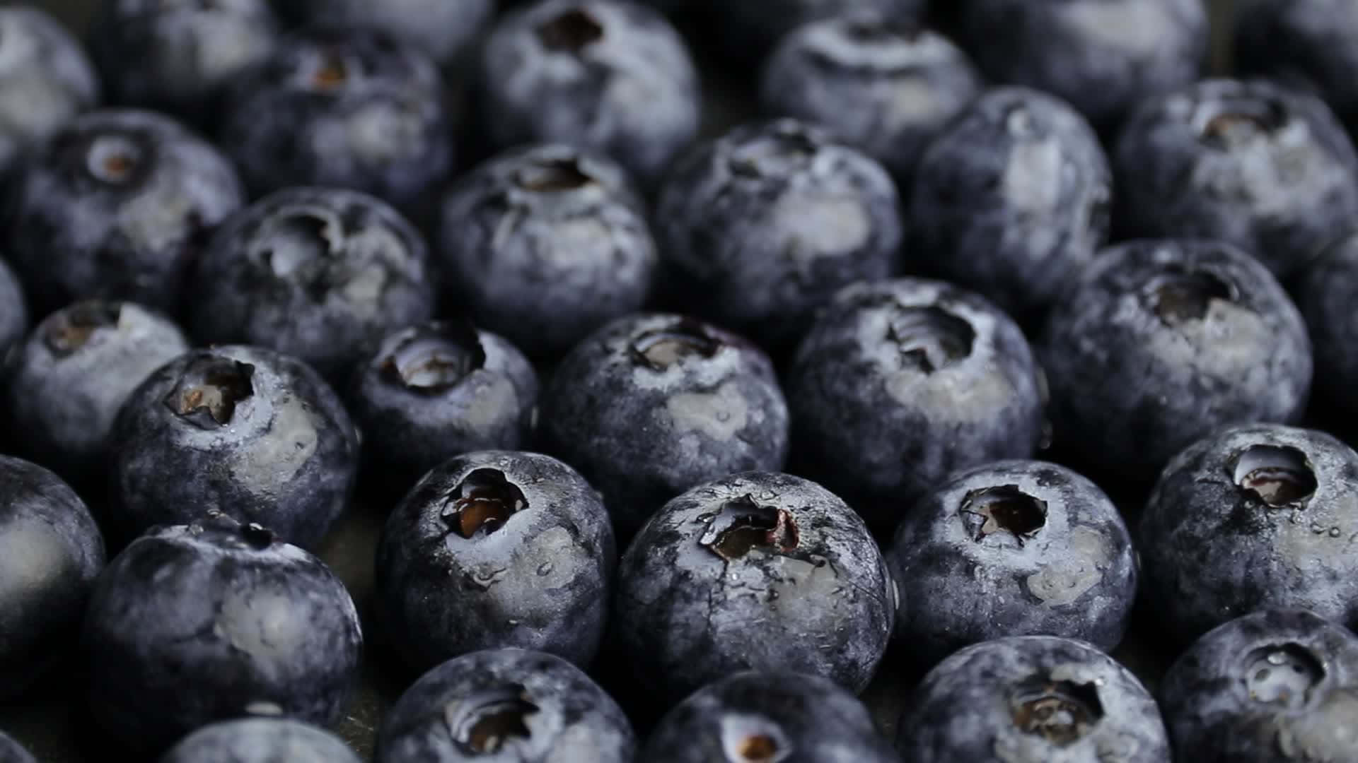 Blueberry 桌布 壁紙 — 飽滿藍莓的特寫，帶有粉狀果粉和小莖，在柔和光線下閃爍著露珠。