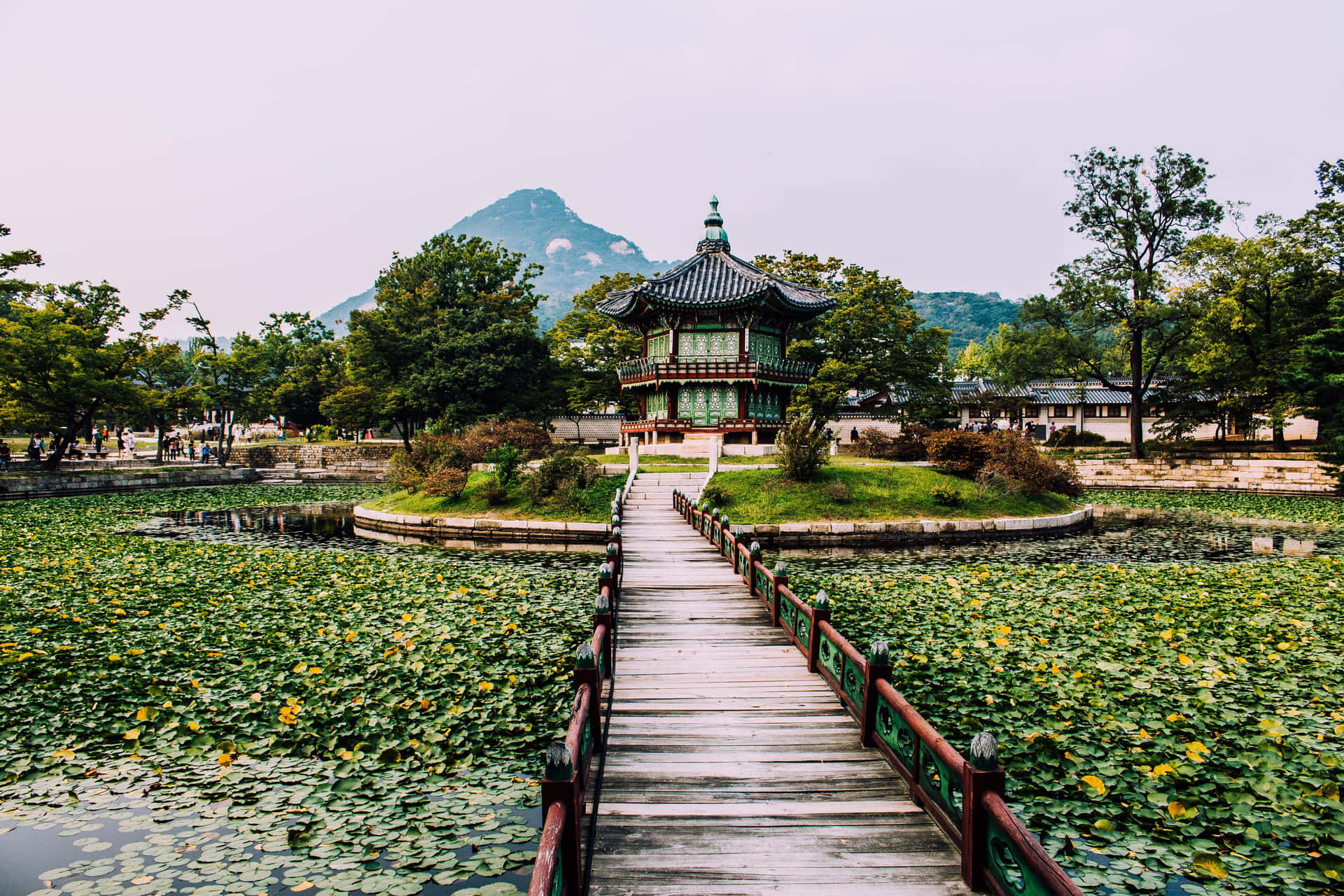 通往荷花池中韓國亭閣的木橋，背景有山