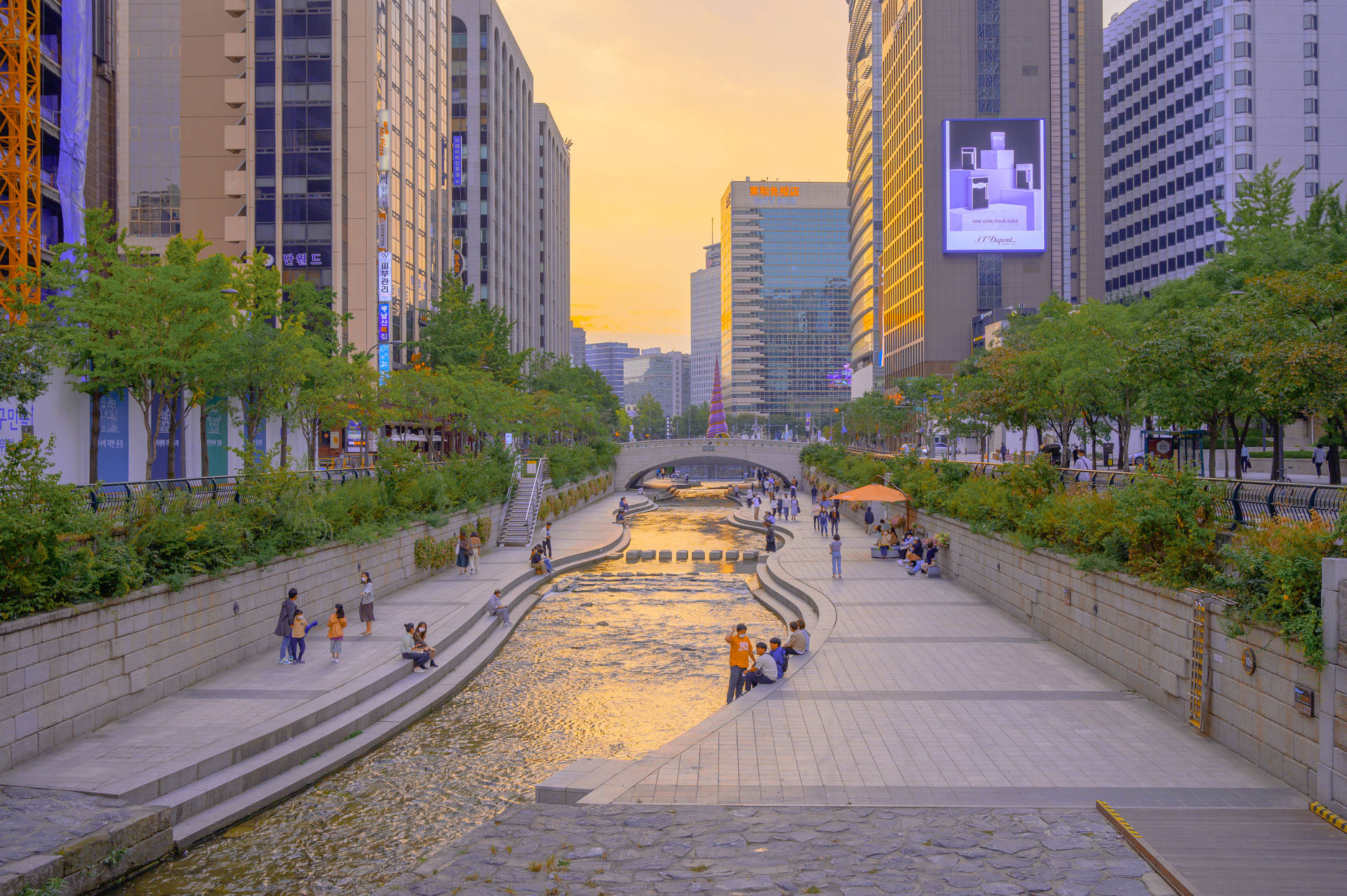 人們沿著城市運河享受金色夕陽，周圍有高樓和樹木。