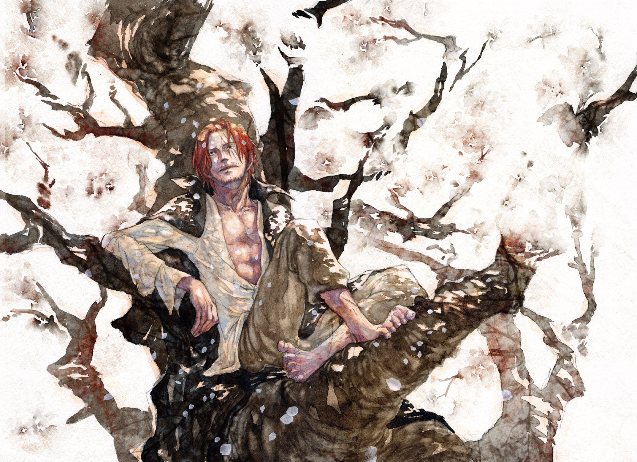 香克斯同人藝術 壁紙 — 一個紅髮男子赤腳坐在彎曲的樹枝上，周圍是飄落的櫻花，水彩風格。
