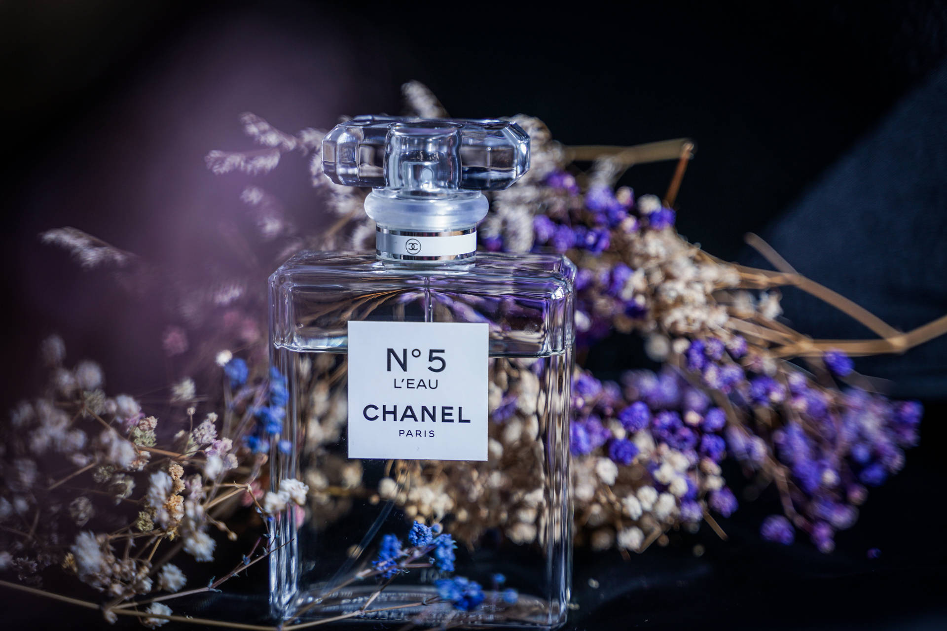Chanel No 5 香水瓶被乾花環繞，置於深色表面上。