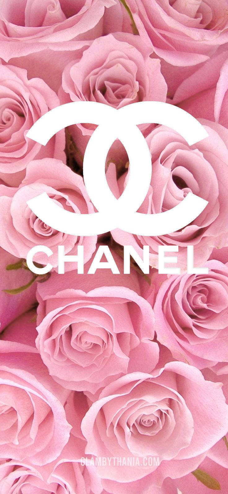 帶有白色 Chanel 標誌和文字疊加的粉紅玫瑰。