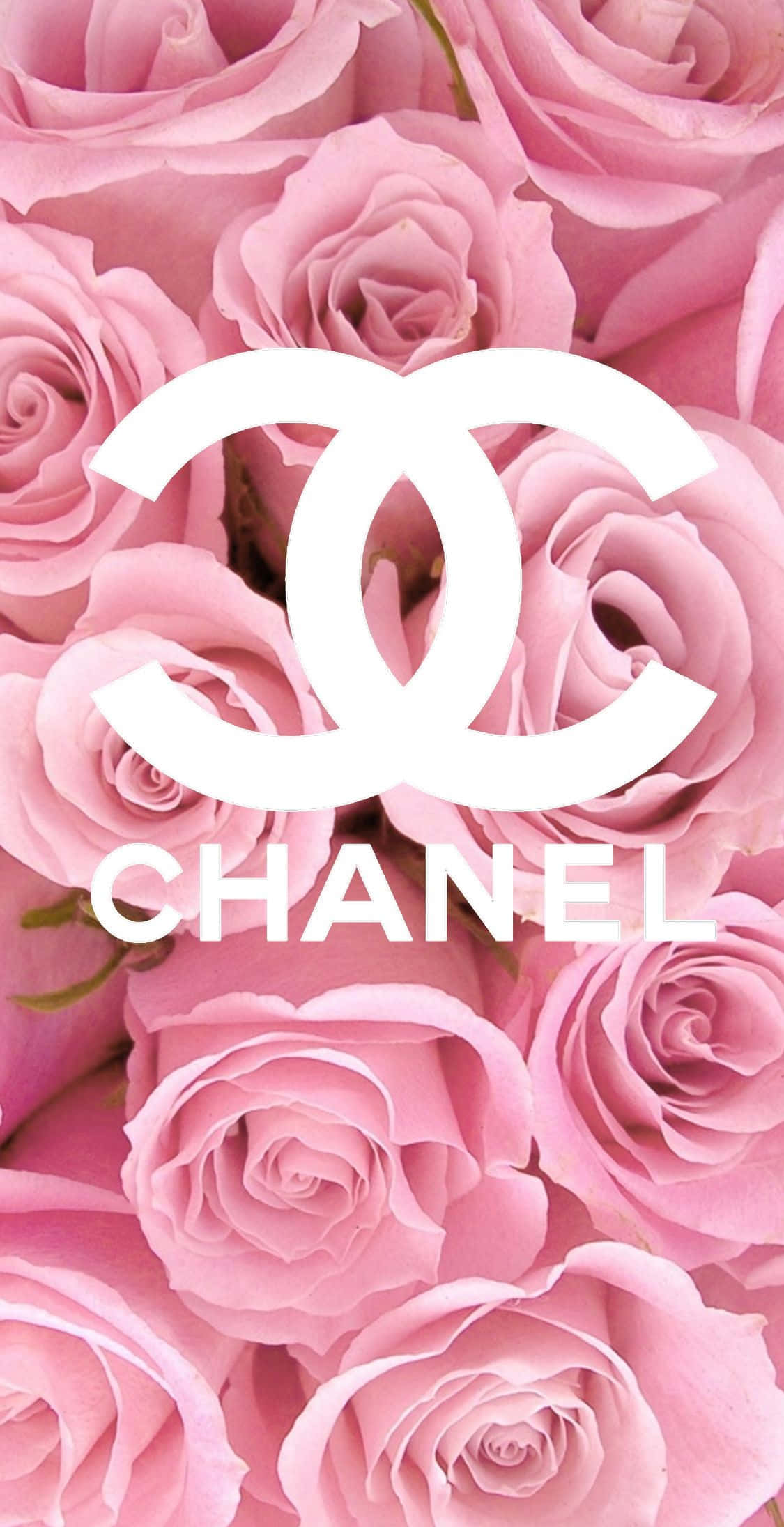 粉紅玫瑰，中央有白色 Chanel 標誌和文字。