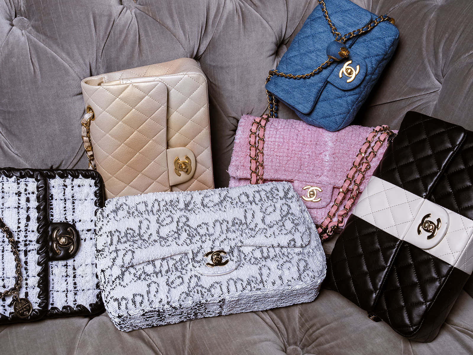 灰色天鵝絨沙發上展示不同顏色和材質的 Chanel 手袋系列。