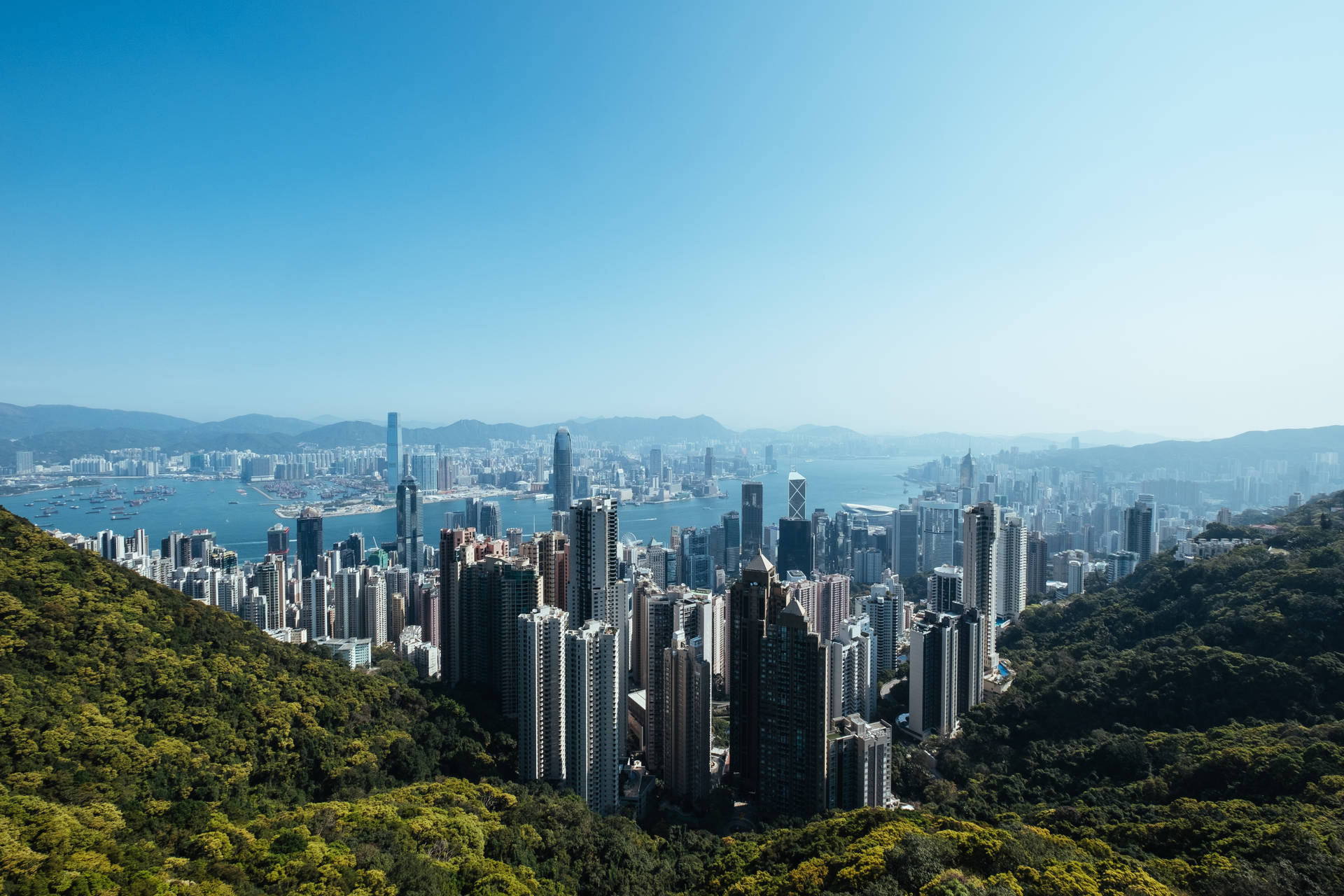 香港城市景觀，摩天大廈同翠綠山丘，藍天白雲。