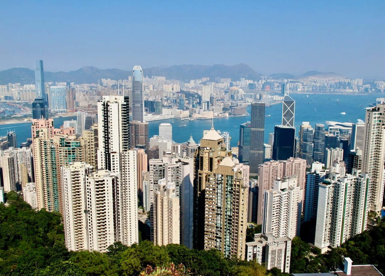 香港黃昏天際線 壁紙 — 香港密集天際線的全景視圖，高聳的摩天大樓、充滿活力的藍色海港和遠處的山脈在晴朗的天空下。