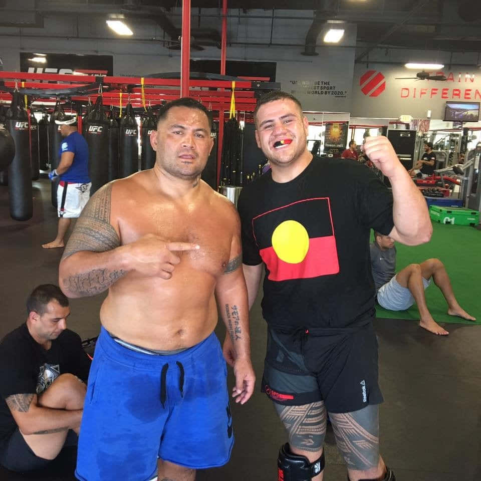 兩名肌肉發達的男子在UFC健身室與沙包和訓練設備一起擺姿勢。