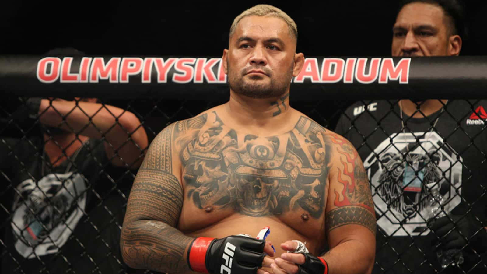 奧林匹斯基體育場八角籠內的紋身MMA拳手