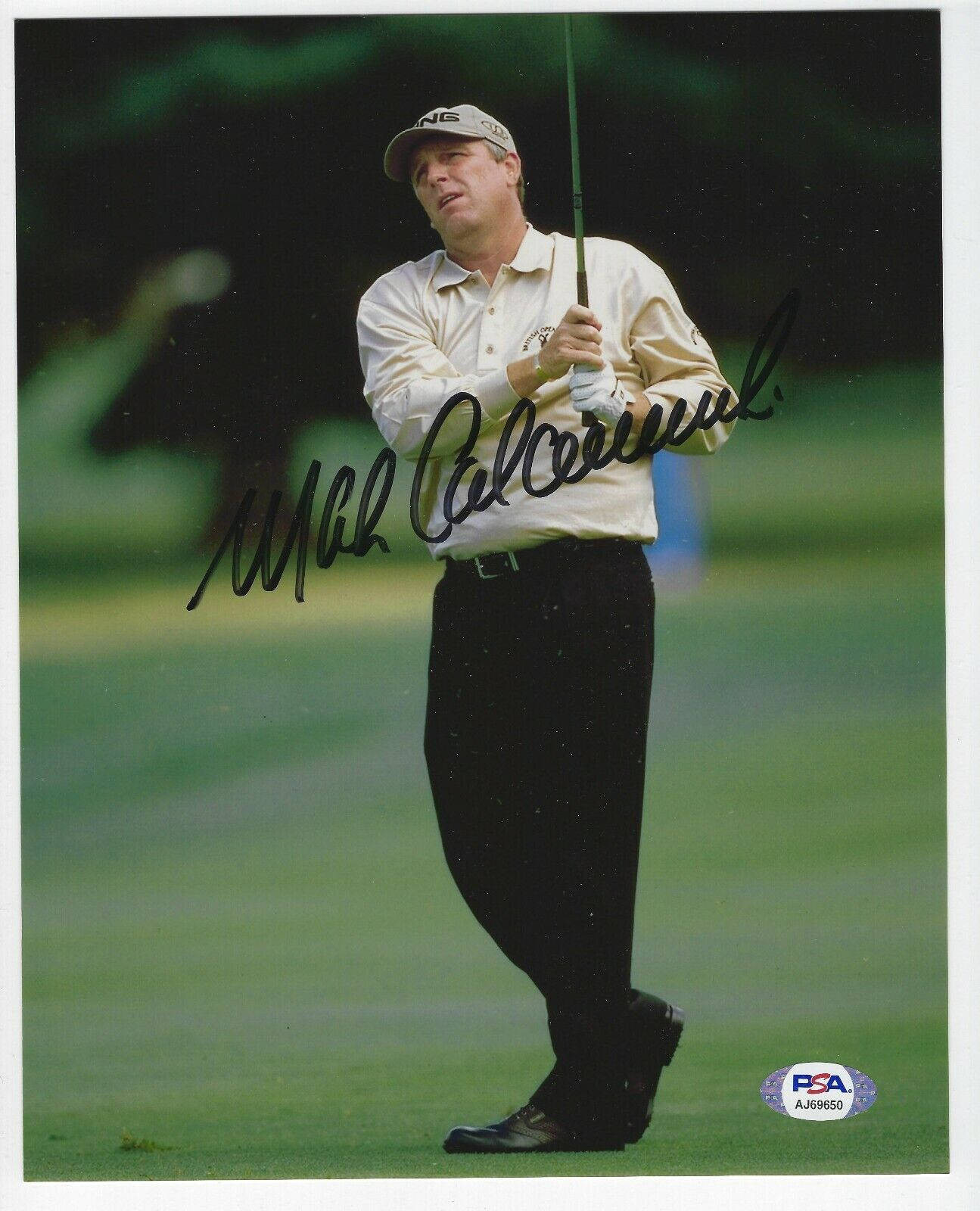 馬克·卡爾卡維奇 PGA 簽名照 壁紙 — 高爾夫球手 Mark Calcavecchia 在茂密的綠色球道上揮桿中，背景有模糊的樹木。