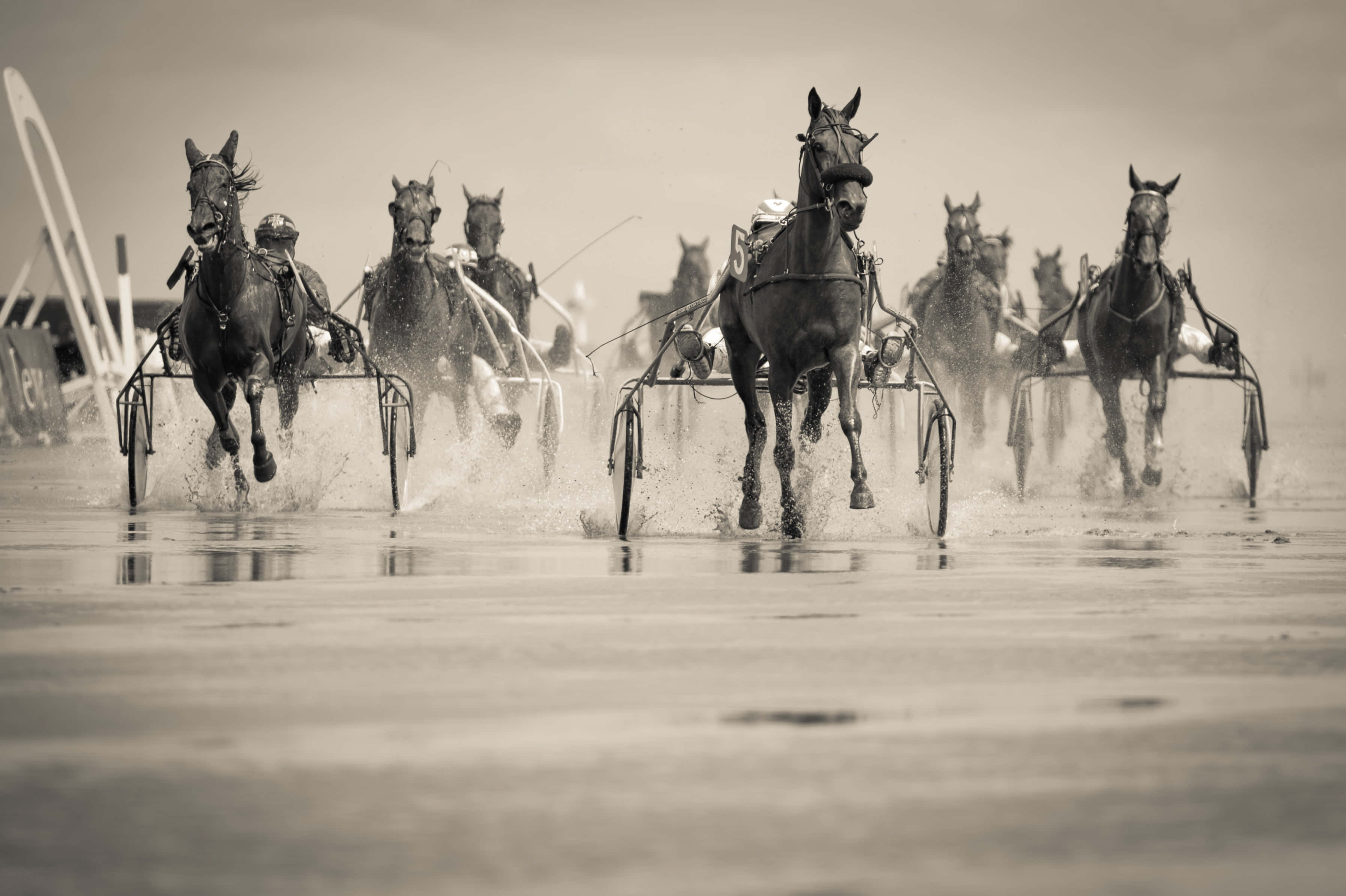 Beautiful Horses 桌布 壁紙 — 馬匹拉著賽車馬車在淺水中飛馳，水花四濺，呈現戲劇性的懷舊棕色調。