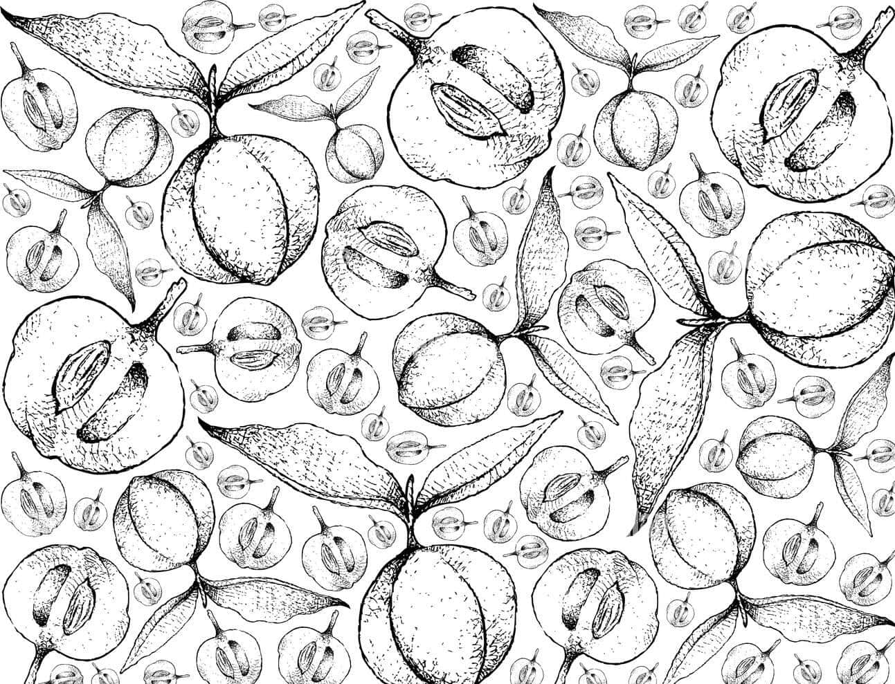 水果和樹葉的黑白植物素描圖案。