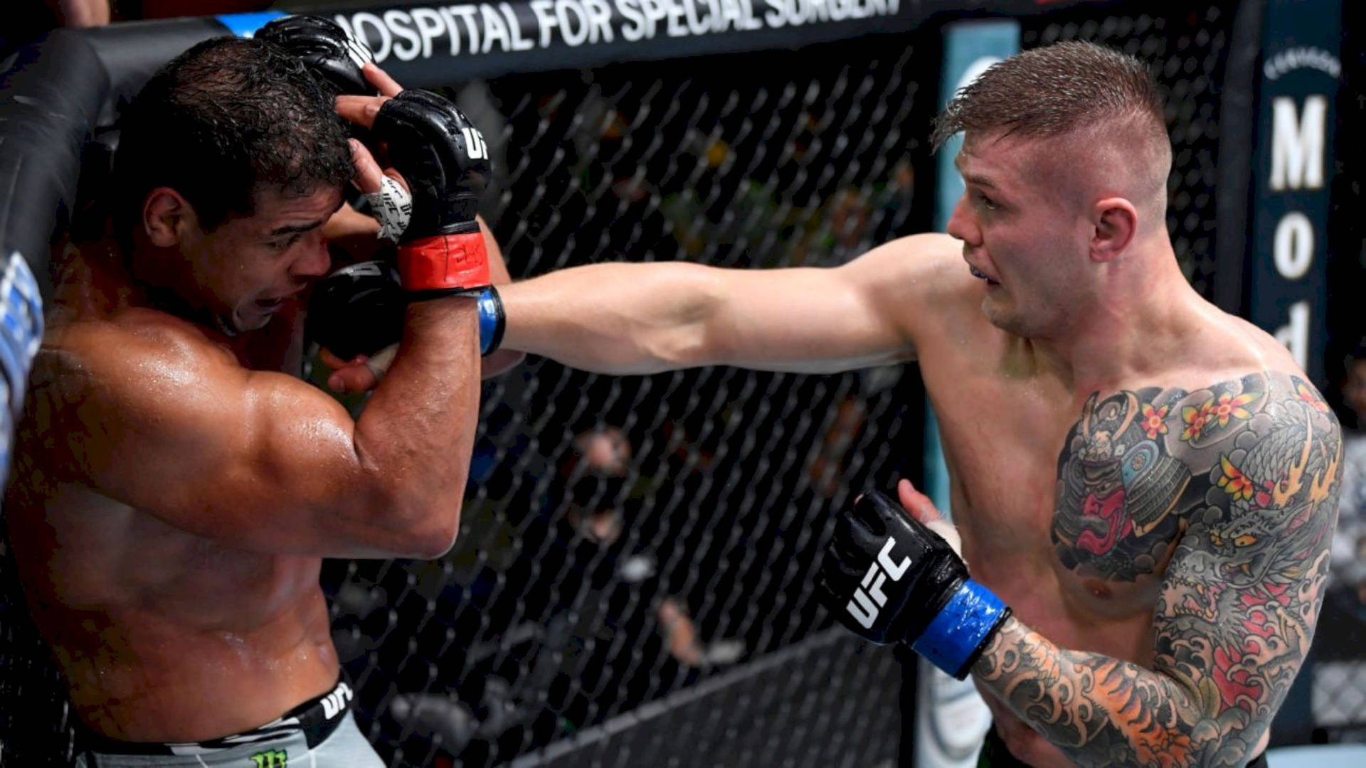 兩名男性MMA拳手在鐵籠內進行暴力打擊交換。